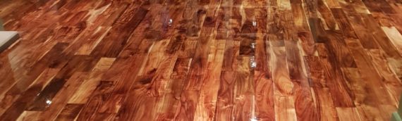 Eleven Didsbury Park | Commercial Wood Floor Sanding and Varnish